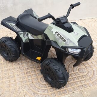 QUAD FEBER 12V BOXER - FE12541 - FEN03000 - FEN45000